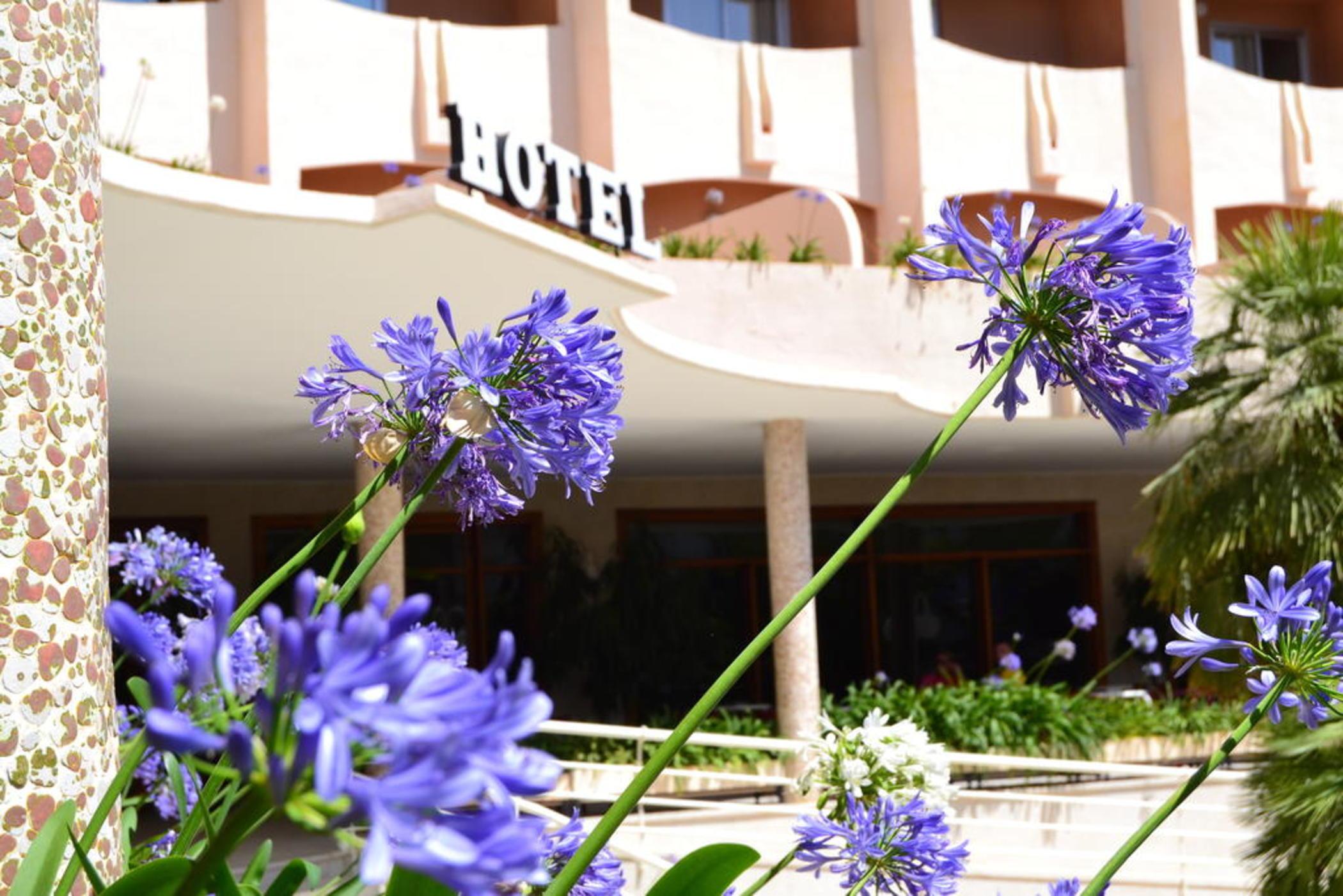 Hotel Los Robles Gandia Exterior photo